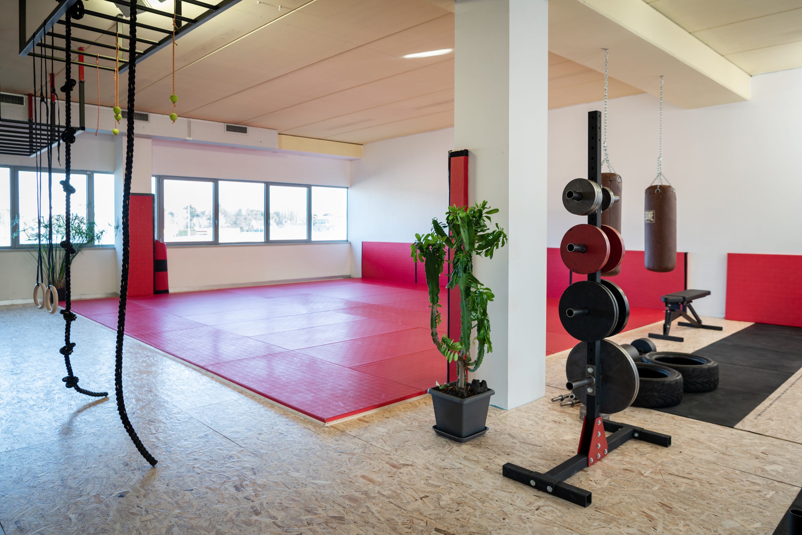 officina della forza 1