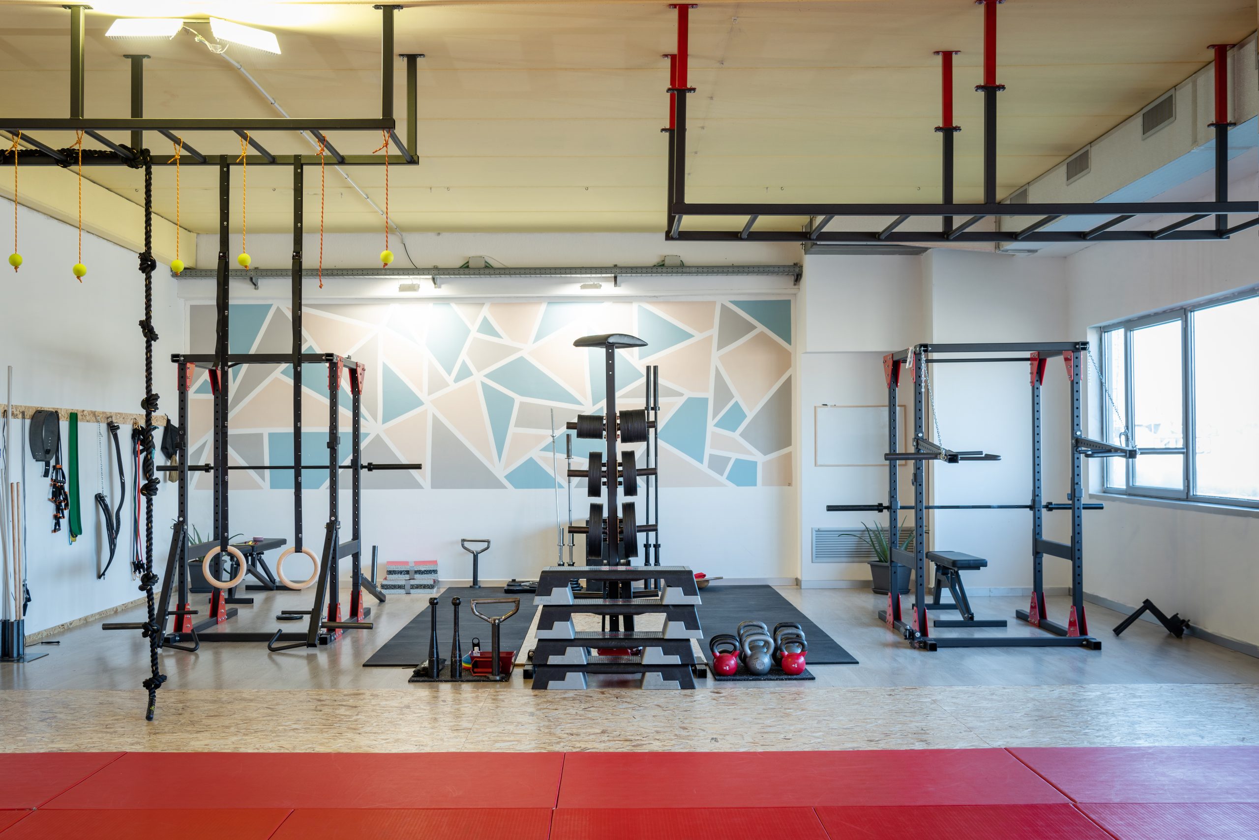 officina della forza 2