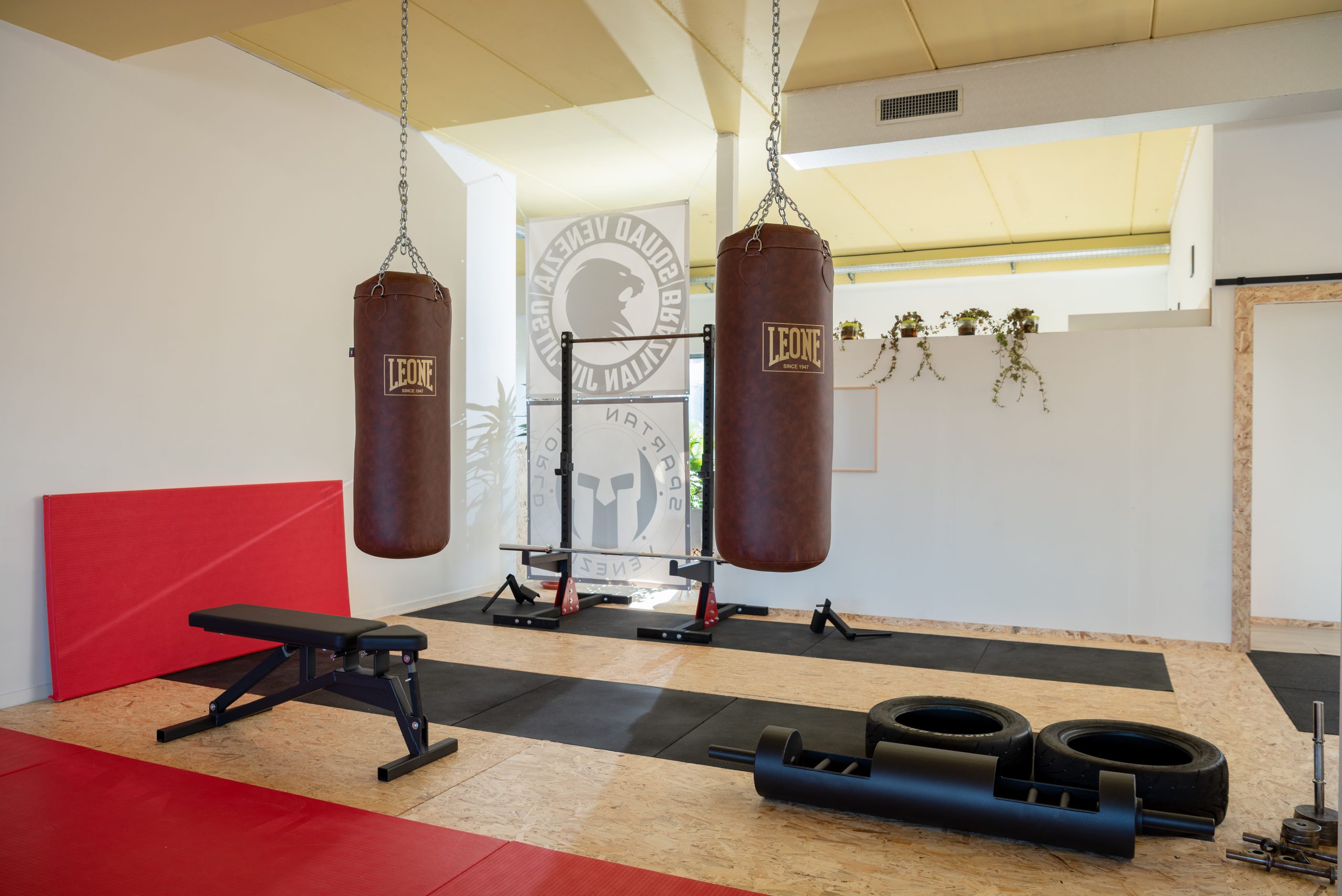 officina della forza 3